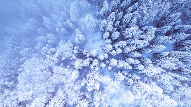 Warum Tierheimsponsoring notwendig ist